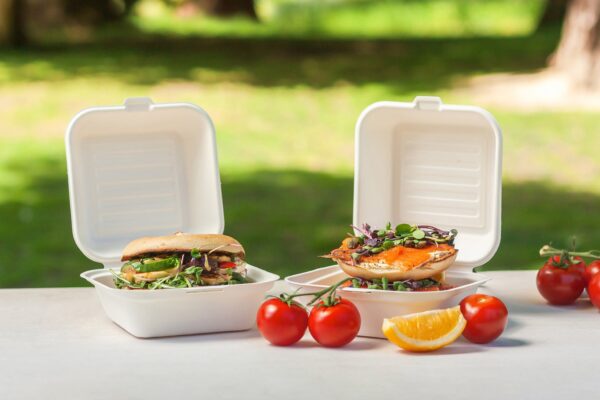 Sugar Cane Burger Box (Regular) - Image 2